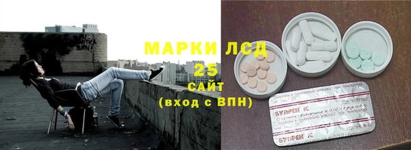 эйфоретик Баксан