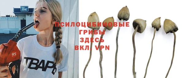 твердый Пересвет