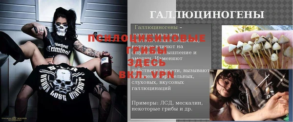 эйфоретик Баксан