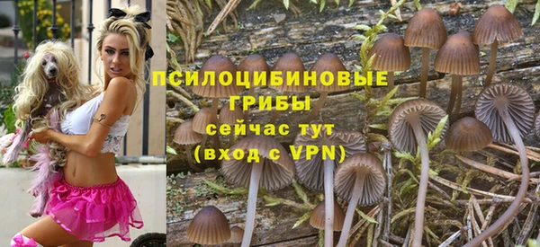 эйфоретик Баксан
