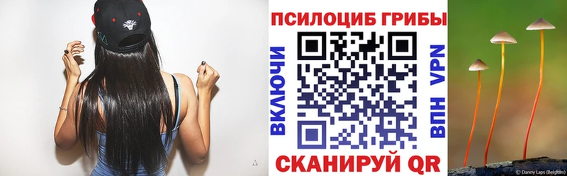 blacksprut ТОР  закладка  Черняховск  Галлюциногенные грибы Cubensis 