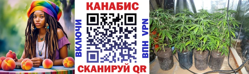 Марихуана MAZAR Черняховск